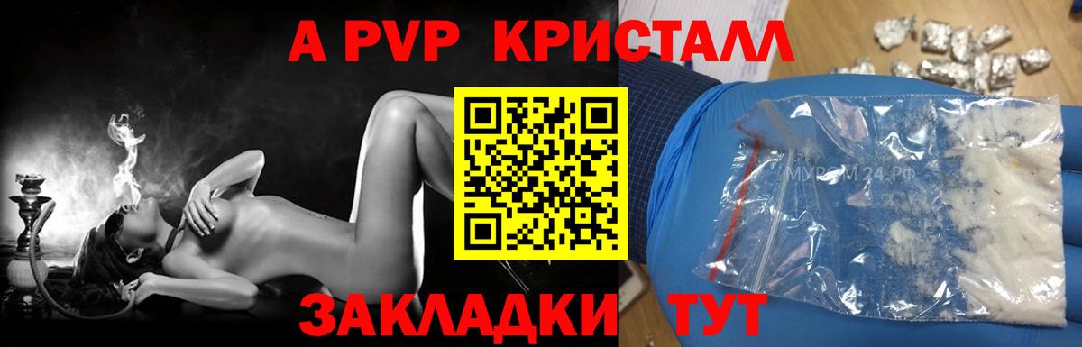 A-PVP СК КРИС Прокопьевск