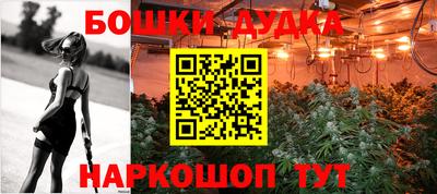 крисы Славгород