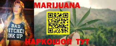 крисы Славгород