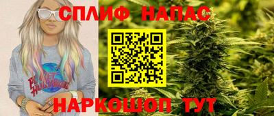 крисы Славгород