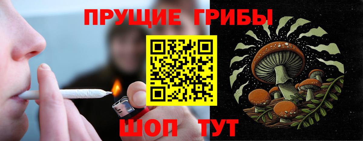 Псилоцибиновые грибы Magic Shrooms  Вход с VPN  Псилоцибиновые грибы Psilocybe  Прокопьевск 