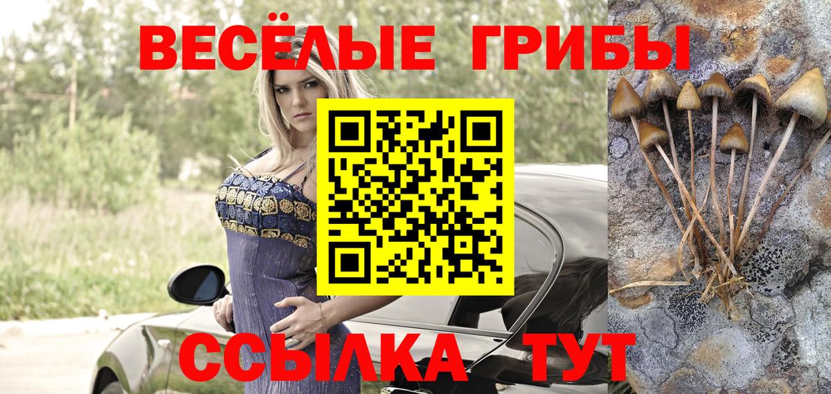 Псилоцибиновые грибы ЛСД Прокопьевск