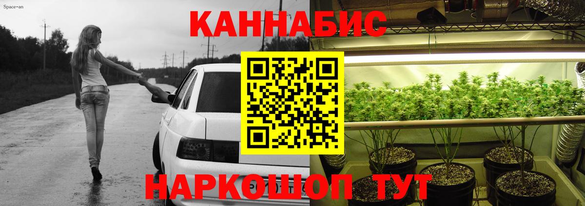 Марихуана MAZAR  Бошки Шишки White Widow  Прокопьевск  Вход с VPN  Конопля White Widow  Канабис конопля 